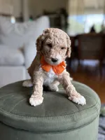 processed/1b148882-a662-4d9a-a835-9cb1407f8b1c/facility/0c21ea7e-37fe-4f63-85e4-eba89a93e8be