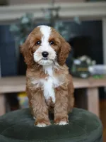 processed/1b148882-a662-4d9a-a835-9cb1407f8b1c/facility/27bf6992-d5e2-41b6-a046-104bacb2dc88