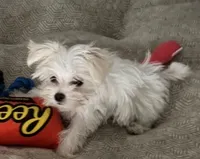 processed/1b211e9b-a846-46af-80b6-1786b6bf7a36/listing/dc0434be-da7a-4382-9ae0-b928b7bc854b/146ceb29-3818-4abb-a631-8536b950741f