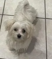 processed/1b211e9b-a846-46af-80b6-1786b6bf7a36/listing/dc0434be-da7a-4382-9ae0-b928b7bc854b/632cf62d-6937-40ab-b3e8-0d76eed72f3b