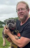  Rajah , a female American Bully for sale in Sullivan, IL – 1 of 3