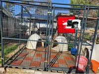 processed/1b2ff697-34ba-418a-bb6a-733c37c79592/facility/568f41f1-b667-4892-a244-3de8fbe34546