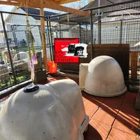 processed/1b2ff697-34ba-418a-bb6a-733c37c79592/facility/e889dd4d-eb88-4732-9792-c47ac73fcb79