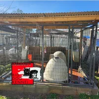 processed/1b2ff697-34ba-418a-bb6a-733c37c79592/facility/ef7d9175-f7fd-4944-a1a7-79cb65a2186e