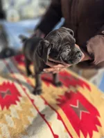 processed/1b2ff697-34ba-418a-bb6a-733c37c79592/listing/0338657a-9704-42cd-8f54-9d7f058f6b86/7941e714-97d1-4199-a12d-f48c6f6069ea