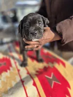 processed/1b2ff697-34ba-418a-bb6a-733c37c79592/listing/0338657a-9704-42cd-8f54-9d7f058f6b86/7bc48b7c-a7e9-4669-96ed-d0e15485155e