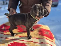 processed/1b2ff697-34ba-418a-bb6a-733c37c79592/listing/0338657a-9704-42cd-8f54-9d7f058f6b86/819743e8-af2d-4f93-bc9f-9f7ada7da2a5