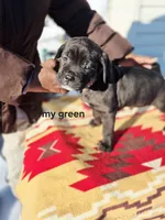 processed/1b2ff697-34ba-418a-bb6a-733c37c79592/listing/0338657a-9704-42cd-8f54-9d7f058f6b86/9f588d32-fc00-424e-9fc5-debd4d822577