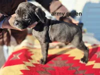 processed/1b2ff697-34ba-418a-bb6a-733c37c79592/listing/0338657a-9704-42cd-8f54-9d7f058f6b86/ddbc9772-76d9-4f3b-9a37-d38152d19c27