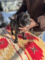 processed/1b2ff697-34ba-418a-bb6a-733c37c79592/listing/0338657a-9704-42cd-8f54-9d7f058f6b86/ed5b933b-2e8f-4772-967a-c99baea9267c