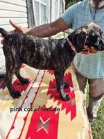 processed/1b2ff697-34ba-418a-bb6a-733c37c79592/listing/0550b93f-1056-4eda-bf54-4996107d718a/2a5ec169-8146-4562-bc1c-727328888d80