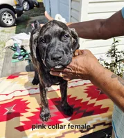 processed/1b2ff697-34ba-418a-bb6a-733c37c79592/listing/0550b93f-1056-4eda-bf54-4996107d718a/4ec47d19-cfc8-489f-9d9e-704b93a69462