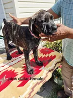 processed/1b2ff697-34ba-418a-bb6a-733c37c79592/listing/0550b93f-1056-4eda-bf54-4996107d718a/51c9a551-40f7-465b-a3c9-74df66184d51