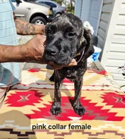 processed/1b2ff697-34ba-418a-bb6a-733c37c79592/listing/0550b93f-1056-4eda-bf54-4996107d718a/88f4beed-3daa-4fdb-bdaa-1f84d752f6d3