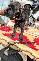 processed/1b2ff697-34ba-418a-bb6a-733c37c79592/listing/0550b93f-1056-4eda-bf54-4996107d718a/8dbf1d85-2de5-4e3b-aa34-41068832c33e