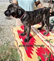 processed/1b2ff697-34ba-418a-bb6a-733c37c79592/listing/0550b93f-1056-4eda-bf54-4996107d718a/c9f9a1ff-7daf-4555-b9e3-8f7864c842ac