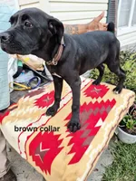 processed/1b2ff697-34ba-418a-bb6a-733c37c79592/listing/1514bb0f-5a0d-4a19-bdfb-e23e554bdf4d/505fb08d-832d-49ad-aee1-3050d9f49d73