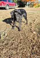 processed/1b2ff697-34ba-418a-bb6a-733c37c79592/listing/1514bb0f-5a0d-4a19-bdfb-e23e554bdf4d/50c0952a-b520-4809-836c-d4784aa32680