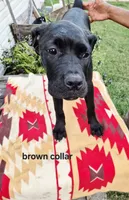 processed/1b2ff697-34ba-418a-bb6a-733c37c79592/listing/1514bb0f-5a0d-4a19-bdfb-e23e554bdf4d/5a1548d5-49c0-4e13-ba73-ffbbe6321945