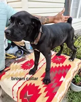 processed/1b2ff697-34ba-418a-bb6a-733c37c79592/listing/1514bb0f-5a0d-4a19-bdfb-e23e554bdf4d/a03cce81-2cc9-4d08-a2c9-4baf3112f99f