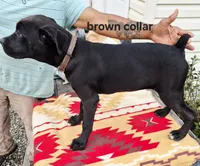 processed/1b2ff697-34ba-418a-bb6a-733c37c79592/listing/1514bb0f-5a0d-4a19-bdfb-e23e554bdf4d/ae5895da-2411-4a57-9f30-4750c8f0e1be