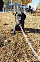 processed/1b2ff697-34ba-418a-bb6a-733c37c79592/listing/1514bb0f-5a0d-4a19-bdfb-e23e554bdf4d/b0e548ff-d56e-446b-a687-f45e875c00cd