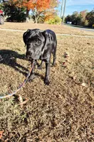 processed/1b2ff697-34ba-418a-bb6a-733c37c79592/listing/1514bb0f-5a0d-4a19-bdfb-e23e554bdf4d/d645c6a1-df75-4efd-979e-f091078b9c7d