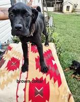 processed/1b2ff697-34ba-418a-bb6a-733c37c79592/listing/1514bb0f-5a0d-4a19-bdfb-e23e554bdf4d/df59a86b-01cd-4d53-b793-32dafadb7833