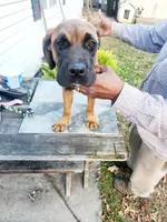 processed/1b2ff697-34ba-418a-bb6a-733c37c79592/listing/1d4d862f-f21b-4a73-8b9d-06acf6e4590f/3da4b127-2ca9-4ade-98a7-c762ba454858