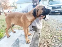 processed/1b2ff697-34ba-418a-bb6a-733c37c79592/listing/1d4d862f-f21b-4a73-8b9d-06acf6e4590f/683e6935-b61c-45f4-af9b-f0e61b9b54c6