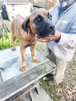 processed/1b2ff697-34ba-418a-bb6a-733c37c79592/listing/1d4d862f-f21b-4a73-8b9d-06acf6e4590f/7a9ed67e-504d-4abc-b931-8b46c8eba48d