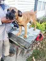 processed/1b2ff697-34ba-418a-bb6a-733c37c79592/listing/1d4d862f-f21b-4a73-8b9d-06acf6e4590f/80e6de57-3cda-4c68-b1b5-a45c42ea862e