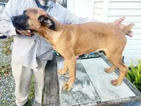 processed/1b2ff697-34ba-418a-bb6a-733c37c79592/listing/1d4d862f-f21b-4a73-8b9d-06acf6e4590f/981b737e-87f2-4c84-9dd3-6d39cefcc29f