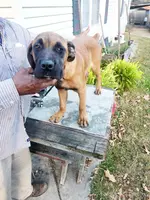 processed/1b2ff697-34ba-418a-bb6a-733c37c79592/listing/1d4d862f-f21b-4a73-8b9d-06acf6e4590f/99214bdd-5e92-4fb7-b533-bf22dd62185e