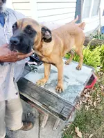 processed/1b2ff697-34ba-418a-bb6a-733c37c79592/listing/1d4d862f-f21b-4a73-8b9d-06acf6e4590f/fb929e89-a635-421f-b7a5-5fa912a49c0c