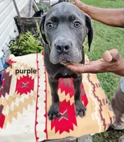 processed/1b2ff697-34ba-418a-bb6a-733c37c79592/listing/37aeba1f-52ca-4ee5-8cba-3cc876b0df26/05ddaff7-98cf-4e66-863a-bce8eea831ab