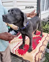 processed/1b2ff697-34ba-418a-bb6a-733c37c79592/listing/37aeba1f-52ca-4ee5-8cba-3cc876b0df26/77ecba58-64ef-4165-a801-df7b16663e8b