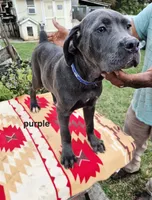 processed/1b2ff697-34ba-418a-bb6a-733c37c79592/listing/37aeba1f-52ca-4ee5-8cba-3cc876b0df26/8a302046-5acd-4aaa-a883-6407dc5f2611