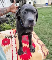 processed/1b2ff697-34ba-418a-bb6a-733c37c79592/listing/37aeba1f-52ca-4ee5-8cba-3cc876b0df26/b4dc0677-4984-462d-b254-54628f13973d