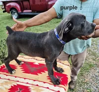 processed/1b2ff697-34ba-418a-bb6a-733c37c79592/listing/37aeba1f-52ca-4ee5-8cba-3cc876b0df26/d61bb850-d668-4ba7-9829-a41bb5550a6c