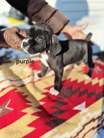 processed/1b2ff697-34ba-418a-bb6a-733c37c79592/listing/3be7758b-52a7-41be-868e-9f3698a5b9e0/d1e98569-6076-4162-8696-009466ca1a73