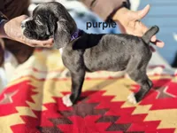 processed/1b2ff697-34ba-418a-bb6a-733c37c79592/listing/3be7758b-52a7-41be-868e-9f3698a5b9e0/e8219260-1c28-447f-b485-0faeca67bb77