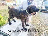 processed/1b2ff697-34ba-418a-bb6a-733c37c79592/listing/485bd734-987d-4e15-bad6-619dc4dc94ca/03bf4b90-952e-4a36-ba02-d9a10f8a9ba5