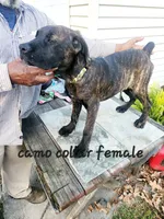 processed/1b2ff697-34ba-418a-bb6a-733c37c79592/listing/485bd734-987d-4e15-bad6-619dc4dc94ca/630f337e-732a-4c74-a28b-7b5149b74c1e