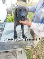 processed/1b2ff697-34ba-418a-bb6a-733c37c79592/listing/485bd734-987d-4e15-bad6-619dc4dc94ca/cc7be62e-84ed-48c3-b849-f13b927102e5