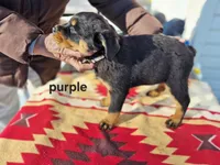 processed/1b2ff697-34ba-418a-bb6a-733c37c79592/listing/4e04217a-12de-4f17-8066-33c363967e40/19dbd733-bba1-4b1a-b65c-ce76036fea96