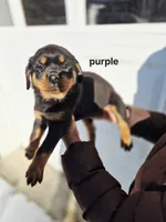 processed/1b2ff697-34ba-418a-bb6a-733c37c79592/listing/4e04217a-12de-4f17-8066-33c363967e40/b4ed4074-c296-4ff1-bc43-d751af420f42