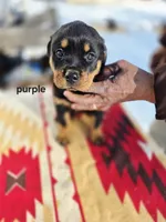 processed/1b2ff697-34ba-418a-bb6a-733c37c79592/listing/4e04217a-12de-4f17-8066-33c363967e40/e712b43d-5e37-42ee-a035-af30849fa4f3