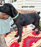 processed/1b2ff697-34ba-418a-bb6a-733c37c79592/listing/6e2af884-5001-4c90-a4b2-0bbb7c067a79/3772303c-3b2b-4907-9dc4-dc7a41991cec