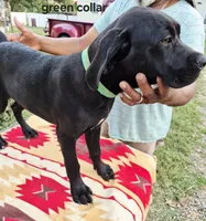 processed/1b2ff697-34ba-418a-bb6a-733c37c79592/listing/6e2af884-5001-4c90-a4b2-0bbb7c067a79/68f186c5-98a0-4e5a-b2f5-e67df3913367